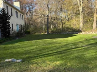 Stanley P.'s lawn maintenance service result