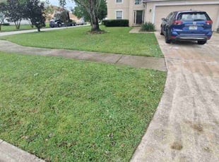 Tamer M.'s turf maintenance service result