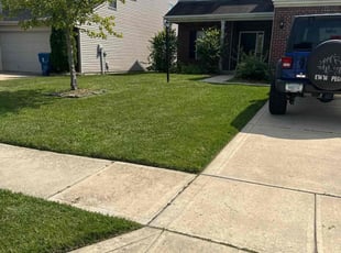 Dorcas O.'s grass cutting service result