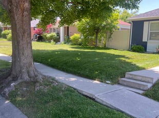 Deanna T.'s grass maintenance service result