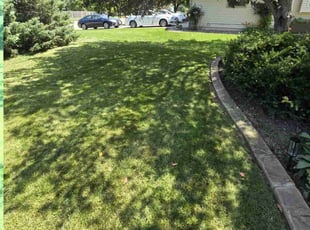 Angi S.'s lawn care services service result