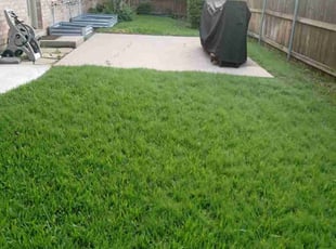 Robert B.'s grass cutting service result