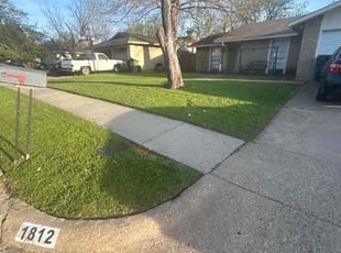 Larry H.'s grass maintenance service result