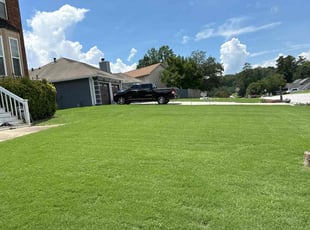 Marcus B.'s grass cutting service result