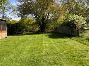 Amelia M.'s turf care service result