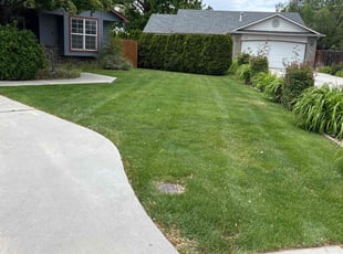 Donald M.'s lawn service service result