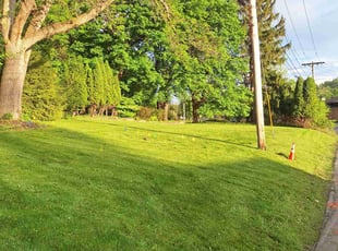 Janis R.'s grass maintenance service result