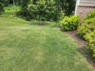 Kris S.'s lawn service service result