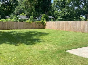 Mike H.'s lawn care service result
