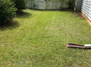 Patricia C.'s lawn care service result