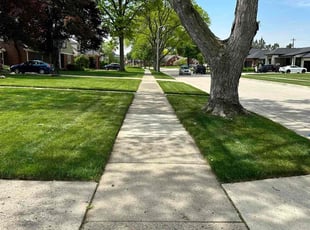Dennis K.'s lawn care services service result