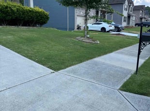 Jasen M.'s yard work service result