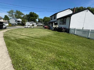 Ryan B.'s turf care service result