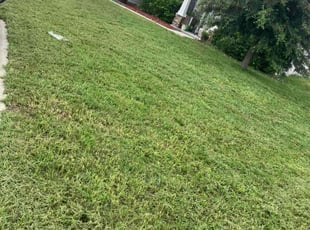 Tyon C.'s lawn service service result