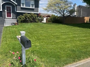 Eric C.'s lawn service service result