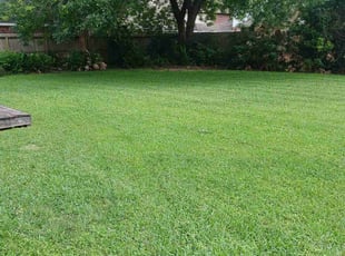 Mel H.'s turf care service result