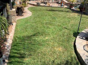 Sonya H.'s grass cutting service result