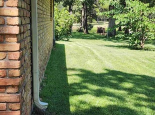 Katherine S.'s grass maintenance service result