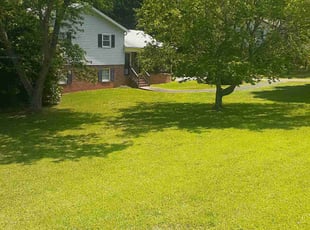 Jason B.'s grass cutting service result