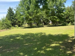 Shirley L.'s lawn maintenance service result
