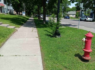 Amanda P.'s lawn maintenance service result
