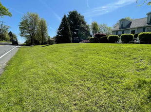 Veralyn R.'s turf care service result