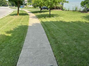 Ken S.'s turf maintenance service result