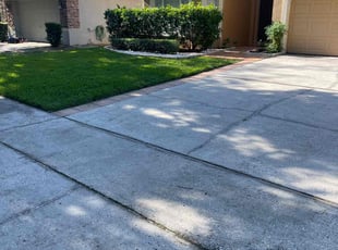 Enrique G.'s yard work service result