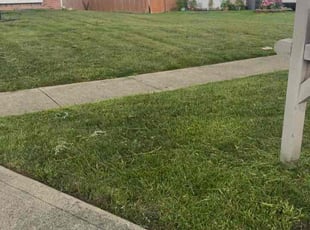Seneca M.'s lawn service service result