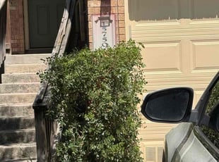 Elizabeth S.'s Bush Trimming service result