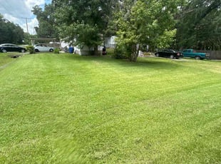 Tama L.'s lawn care service result