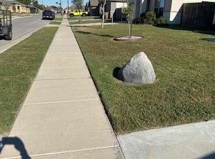 Milo G.'s turf maintenance service result