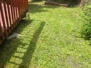Kai L.'s lawn care service result