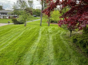 Aaron W.'s turf care service result