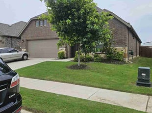 Lanita M.'s grass maintenance service result