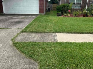 Felder J.'s lawn care service result