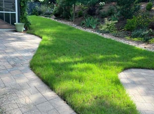 Angelia P.'s lawn care service result