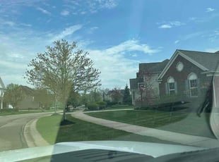 Olga B.'s lawn service service result