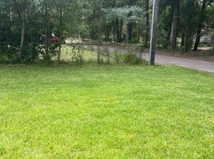 Deborah M.'s lawn service service result