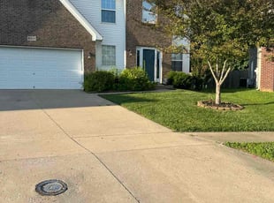 Jauntrelle B.'s lawn care service result