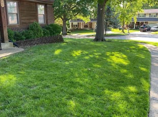 Cristian P.'s turf maintenance service result