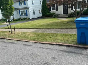 Robert P.'s turf care service result