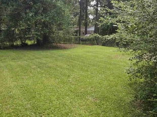 Cheryl L.'s lawn care services service result