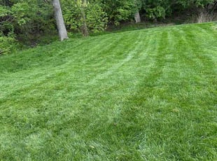 Glenda B.'s turf maintenance service result