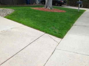 Bryan Q.'s grass maintenance service result