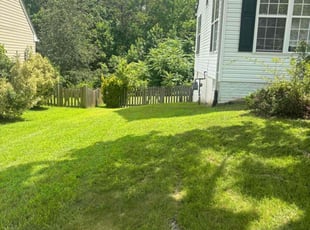 William B.'s turf care service result
