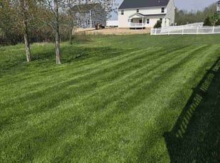 Orin R.'s grass cutting service result