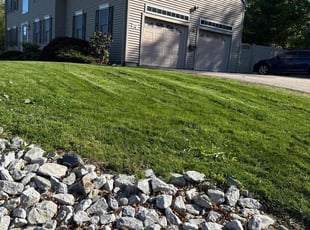 Amelio C.'s residential landscaping service result