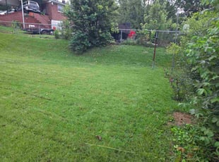 Mary R.'s grass maintenance service result