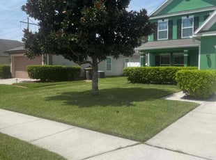 Armand G.'s grass cutting service result